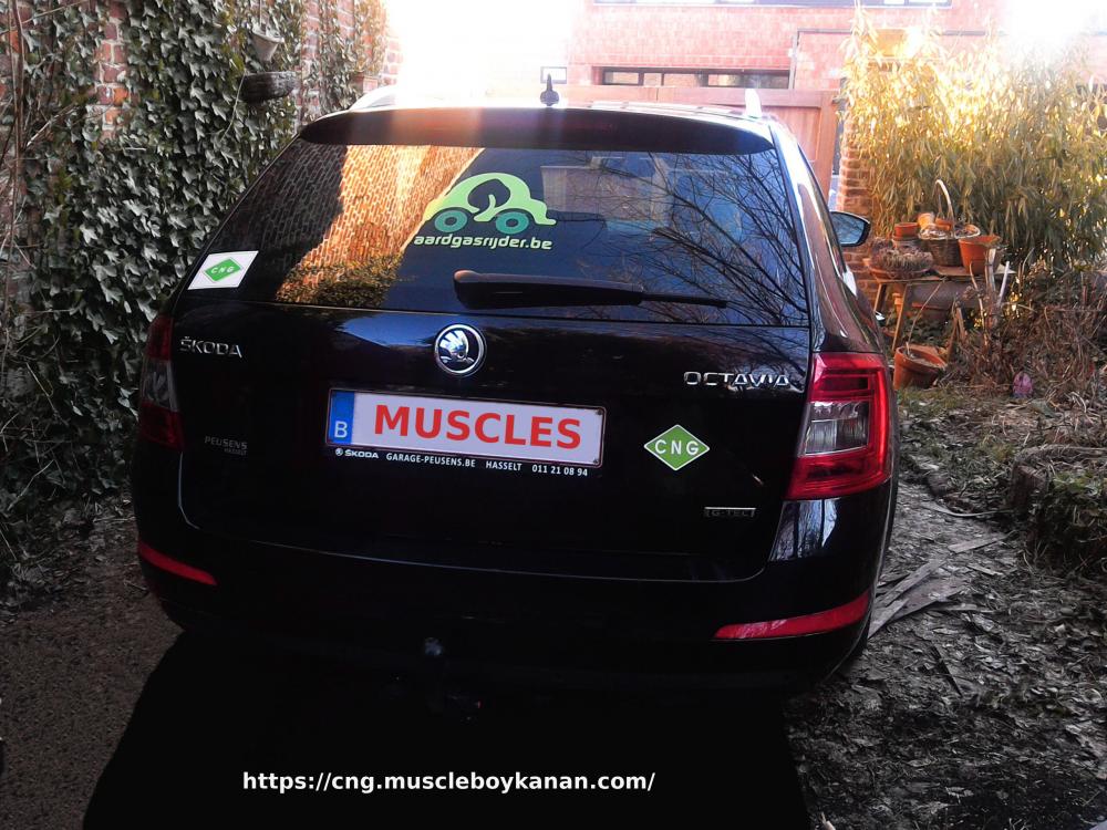 Muscles-Skoda-Octavia-G-Tec-2016-met-CNG-stickers-achteraan.jpg