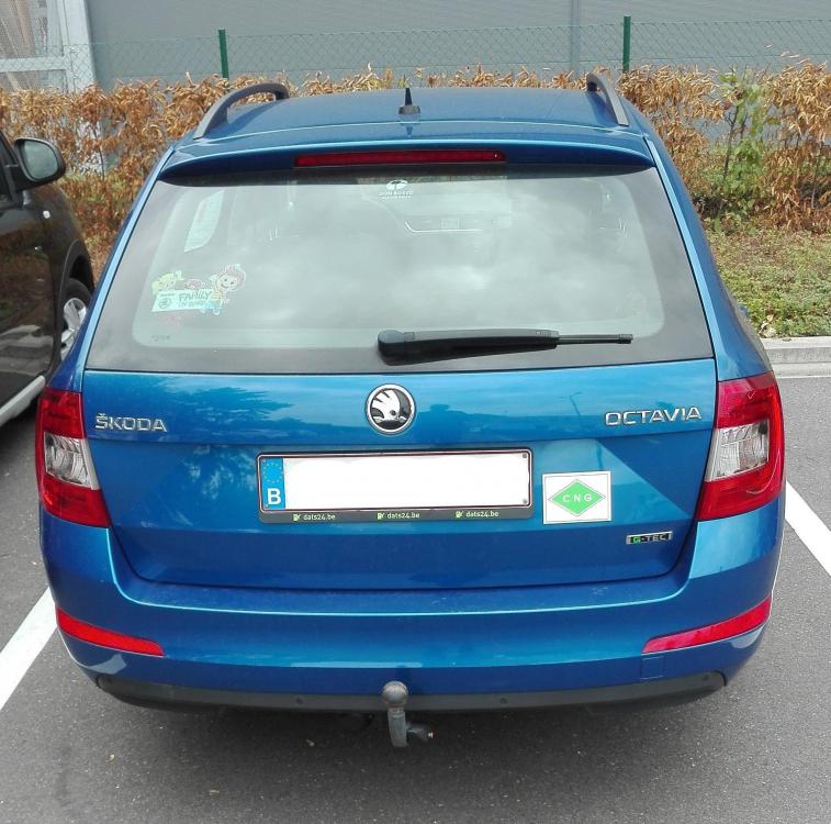 skoda_combi_colruyt.thumb.jpg.b635cea6e98364df1482064774b3212c.jpg