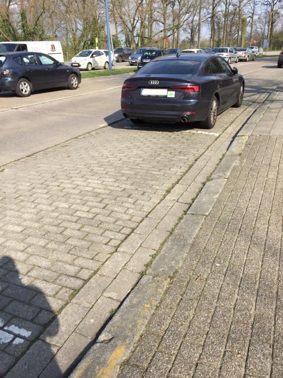 WhatsApp Image 2019-04-02 at 19.15.14.jpeg