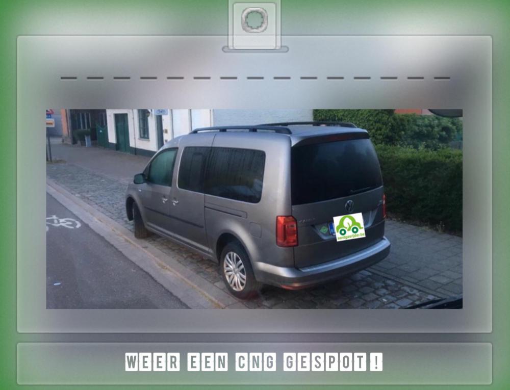 caddy.jpeg