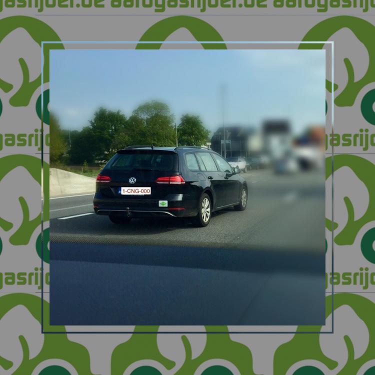 cng 1.jpeg